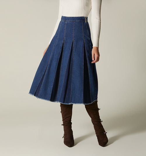 Midi Skirt, Pleats with Seams
